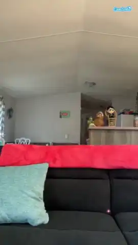 Jadebay - Camsoda Hot Show Video - 2025 01-07 22:59:29