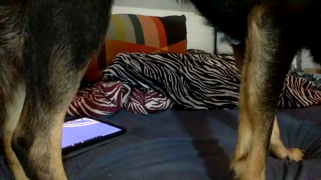 Jestem_Twoim_Marzeniem - Showup Private Video - 2025 05-07 16:51:39
